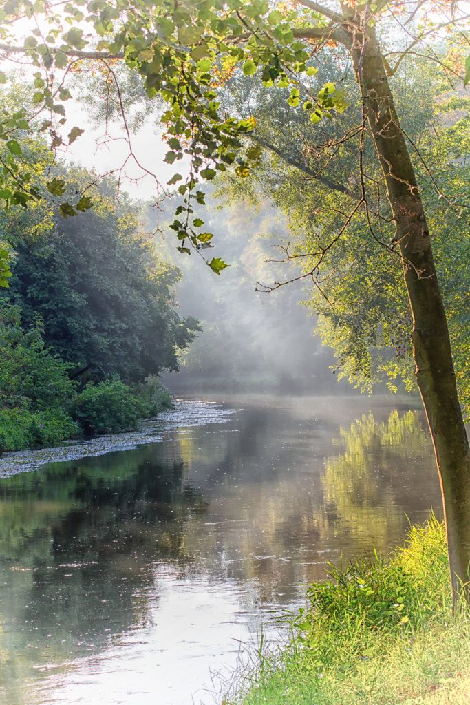 Spätsommer an der Erft 2