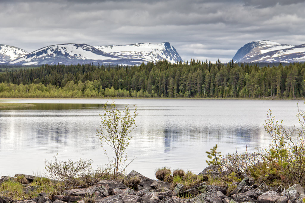 Im Fjäll